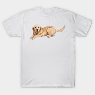 Golden Lab Lying Down T-Shirt